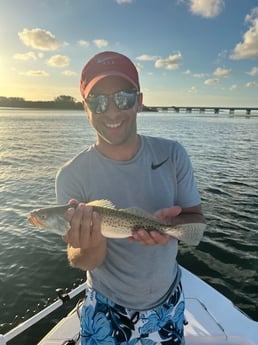 Speckled Trout / Spotted Seatrout fishing in Holmes Beach, Florida