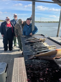 Black Drum, Redfish, Speckled Trout Fishing in Galveston, Texas