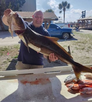 Bonito, Cobia, Vermillion Snapper Fishing in Jacksonville, Florida