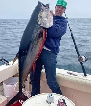 Bluefin Tuna Fishing in Morro Bay, California