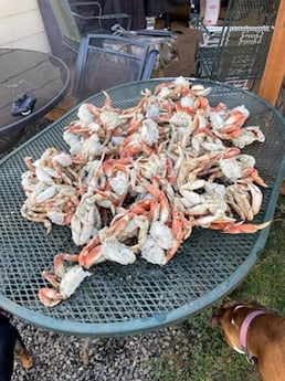 Crab Fishing in Garibaldi, Oregon