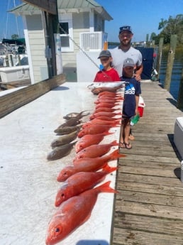 Little Tunny / False Albacore, Triggerfish, Vermillion Snapper Fishing in Niceville, Florida