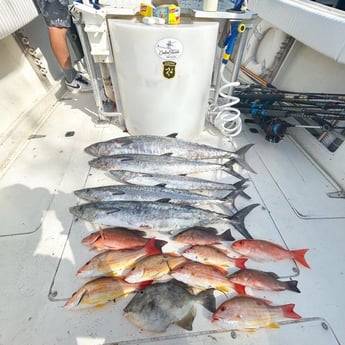 Kingfish, Lane Snapper, Mangrove Snapper, Triggerfish Fishing in New Smyrna Beach, Florida
