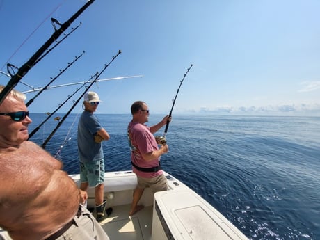 Fishing in Wanchese, North Carolina