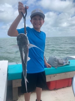 Hardhead Catfish fishing in Corpus Christi, Texas