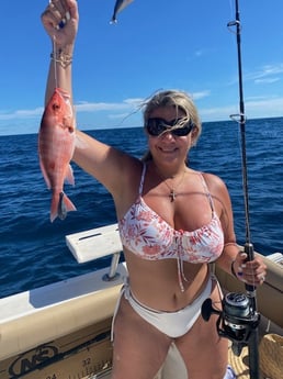 Red Snapper fishing in Niceville, Florida