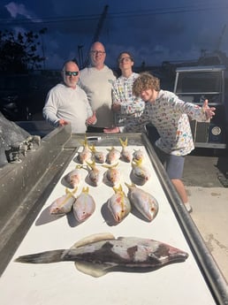 Triggerfish, Yellowtail Snapper Fishing in Marathon, Florida