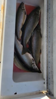 Fishing in Manistee, Michigan