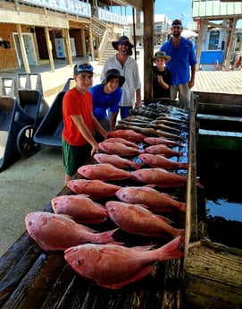 Red Snapper, Redfish, Sheepshead Fishing in Boothville-Venice, Louisiana, USA