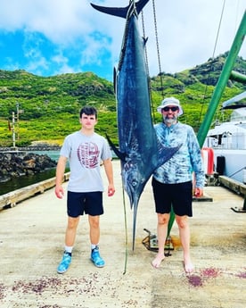 Blue Marlin Fishing in Kapaʻa, Hawaii