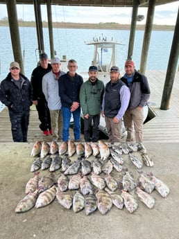 Black Drum, Redfish, Sheepshead Fishing in Port O&#039;Connor, Texas