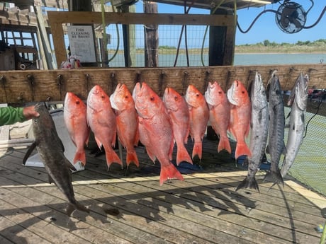Barracuda, Cobia, Red Snapper Fishing in Port O&#039;Connor, Texas