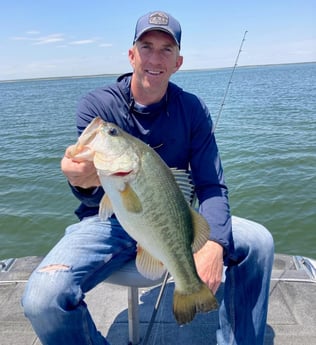 Largemouth Bass fishing in Zapata, Texas