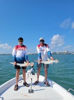 Bonnethead Shark fishing in Titusville, Florida