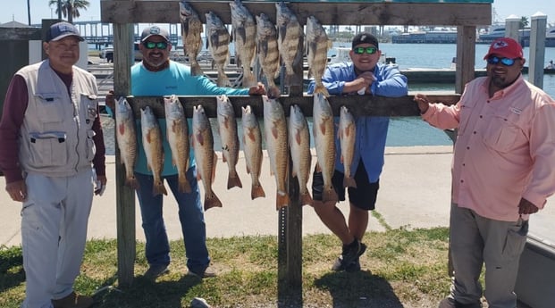 Black Drum, Redfish fishing in Ingleside, Texas