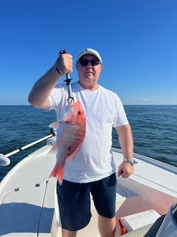 Red Snapper Fishing in Buras, Louisiana