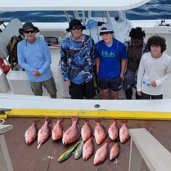 Mahi Mahi / Dorado, Red Snapper fishing in Panama City, Florida