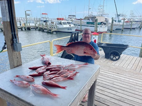 Red Snapper, Vermillion Snapper Fishing in Gulf Shores, Alabama