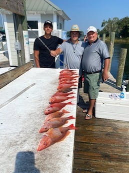 Lane Snapper, Mangrove Snapper, Vermillion Snapper Fishing in Niceville, Florida