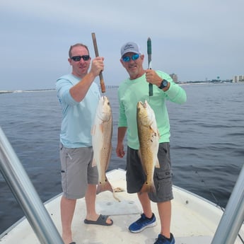 Redfish fishing in Fort Walton Beach, Florida