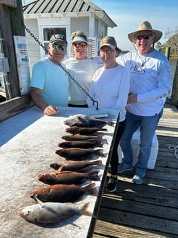 Grunt, Mangrove Snapper, Triggerfish Fishing in Niceville, Florida