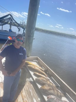 Black Drum, Redfish Fishing in Shell Beach, Louisiana