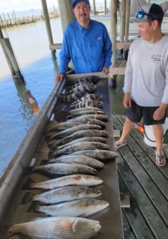 Redfish, Sheepshead, Speckled Trout / Spotted Seatrout fishing in San Leon, Texas