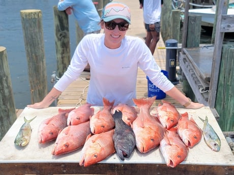 Mahi Mahi / Dorado, Red Snapper fishing in Fort Walton Beach, Florida