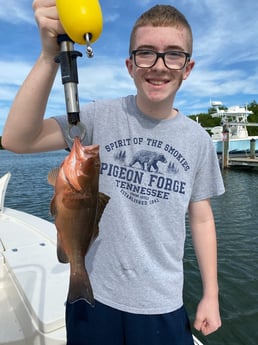 Red Grouper fishing in Fort Myers, Florida