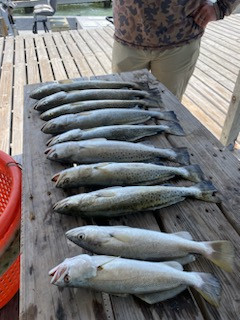 Speckled Trout Fishing in Ingleside, Texas