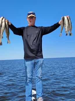 Speckled Trout / Spotted Seatrout fishing in New Orleans, Louisiana