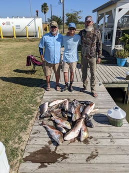 Black Drum, Redfish Fishing in Sulphur, Louisiana
