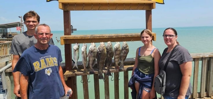 Black Drum, Bluefish, Speckled Trout Fishing in South Padre Island, Texas
