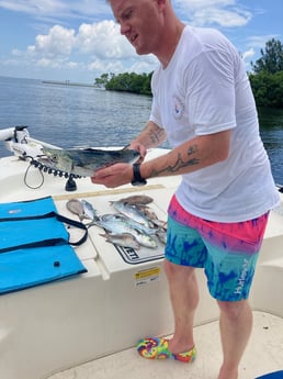 Scup, Spanish Mackerel Fishing in St. Petersburg, Florida