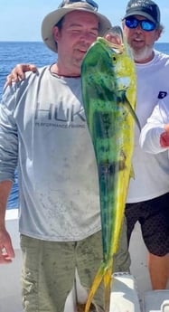 Mahi Mahi Fishing in Marathon, Florida