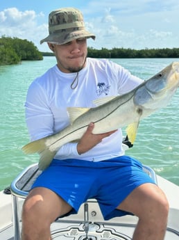 Snook Fishing in Key Largo, Florida