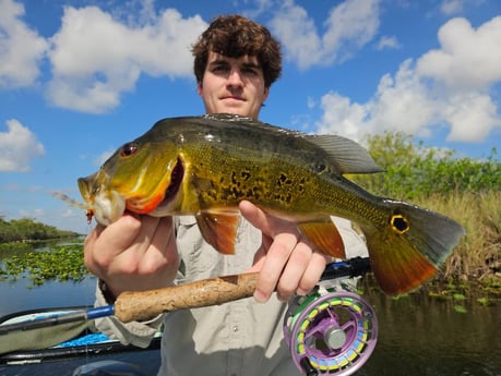 Fishing in Pembroke Pines, Florida