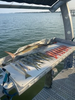 Cobia, Mahi Mahi, Red Snapper, Vermillion Snapper Fishing in Santa Rosa Beach, Florida