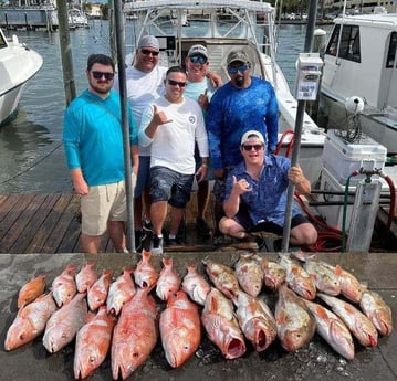 Mangrove Snapper, Red Grouper, Red Snapper Fishing in Clearwater, Florida