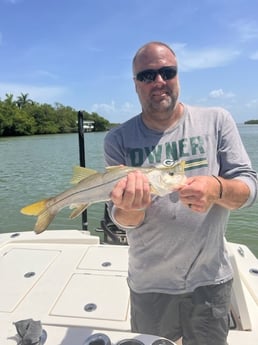 Snook fishing in Fort Myers, Florida