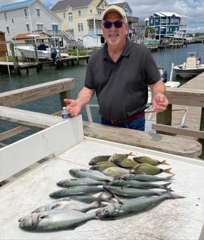 Bluefish, Bream Fishing in Beaufort, North Carolina