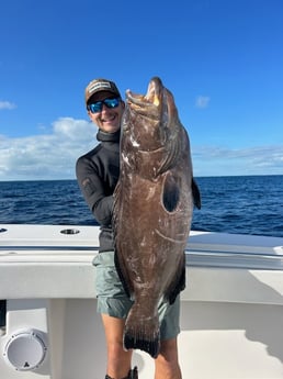 Black Grouper Fishing in Islamorada, Florida