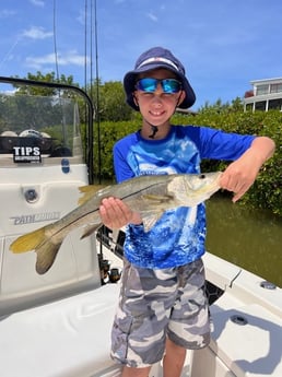 Snook fishing in Fort Myers, Florida