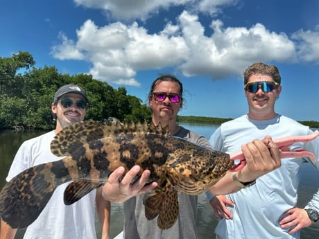 Goliath Grouper Fishing in Miami, Florida