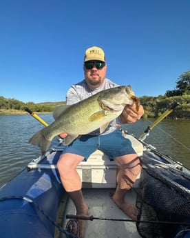 Largemouth Bass Fishing in Graford, Texas