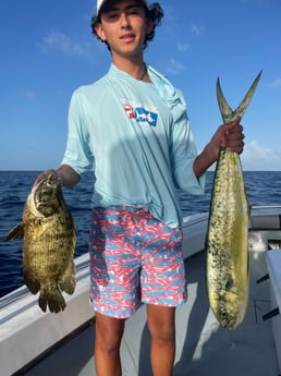 Mahi Mahi, Tripletail Fishing in Miami, Florida