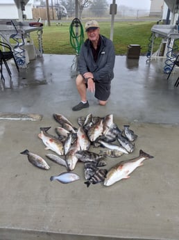 Black Drum, Redfish, Sheepshead, Speckled Trout / Spotted Seatrout Fishing in Sulphur, Louisiana