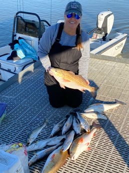 Redfish, Speckled Trout / Spotted Seatrout fishing in Bolivar Peninsula, Texas