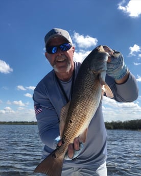 Jack Crevalle fishing in Hudson, Florida