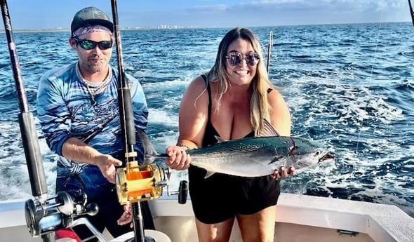 False Albacore Fishing in Pompano Beach, Florida